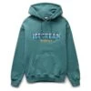 COLD GOODS HOODIE -Clothing Shop icecreamCOLDGOODSHOODIESEAPINES421 9304 1