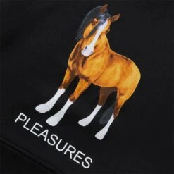 Pleasures DEATH HOODIE -Clothing Shop pleasuresDEATHHOODIEBLACKSP22F049 3